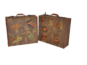 Trunks and Suitcases